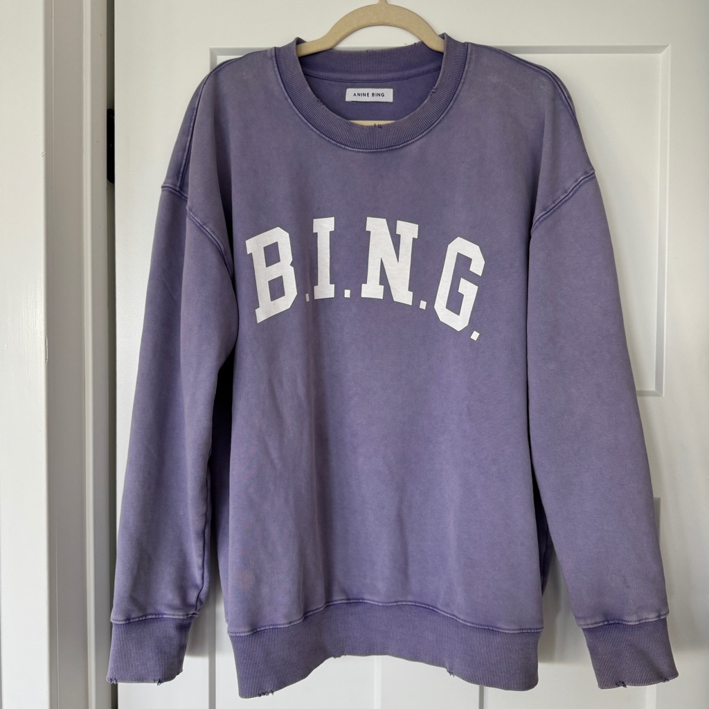 Anine Bing Oversized Sweatshirt, Size Small